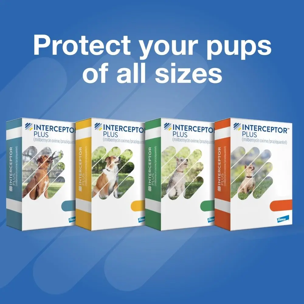 Interceptor Plus for Dogs 50.1-100 lbs. | Monthly Heartworm & Worm Protection - view 9