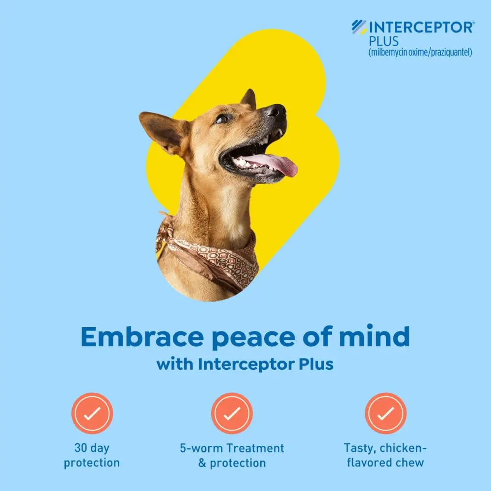 Interceptor Plus for Dogs 50.1-100 lbs. | Monthly Heartworm & Worm Protection - view 2