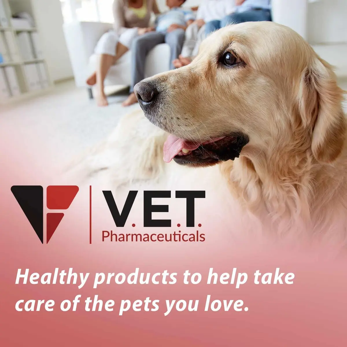 V.E.T. PHARMACEUTICALS DL Methionine Tablets 500mg | Urinary pH Support for Dogs & Cats - view 2