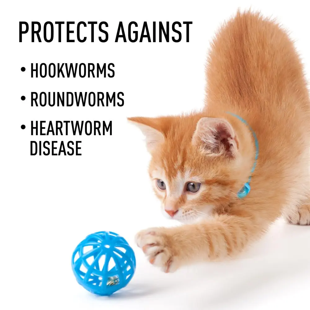 Interceptor for Dogs and Cats 26-50 lbs / 6.1-12 lbs | Heartworm & Worm Prevention - view 8
