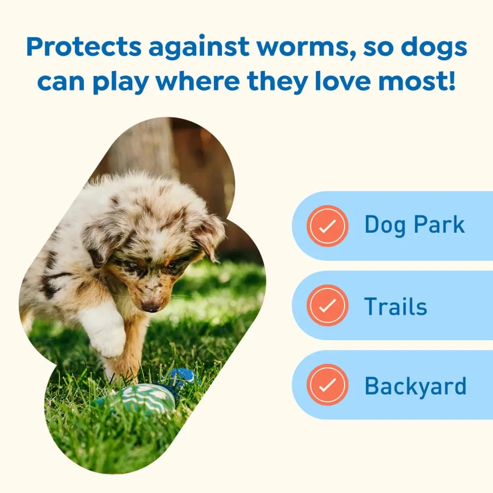 Interceptor Plus Monthly Tablets for Dogs 2-8 lbs | Heartworm & Worms Protection - view 5