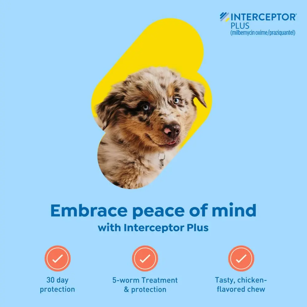 Interceptor Plus Monthly Tablets for Dogs 2-8 lbs | Heartworm & Worms Protection - view 2