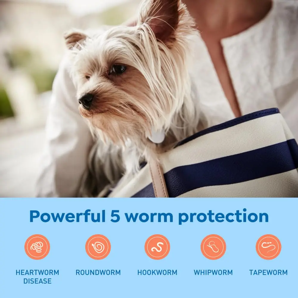 Interceptor Plus Monthly Tablets for Dogs 2-8 lbs | Heartworm & Worms Protection - view 3