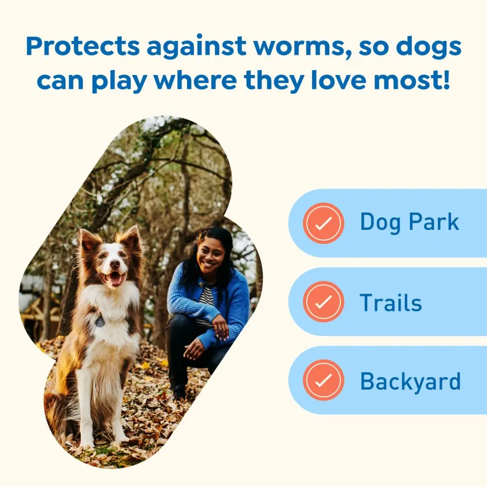 Interceptor Plus Monthly Tablets for Dogs 25.1-50 lbs | Heartworm & Worms Protection - view 5