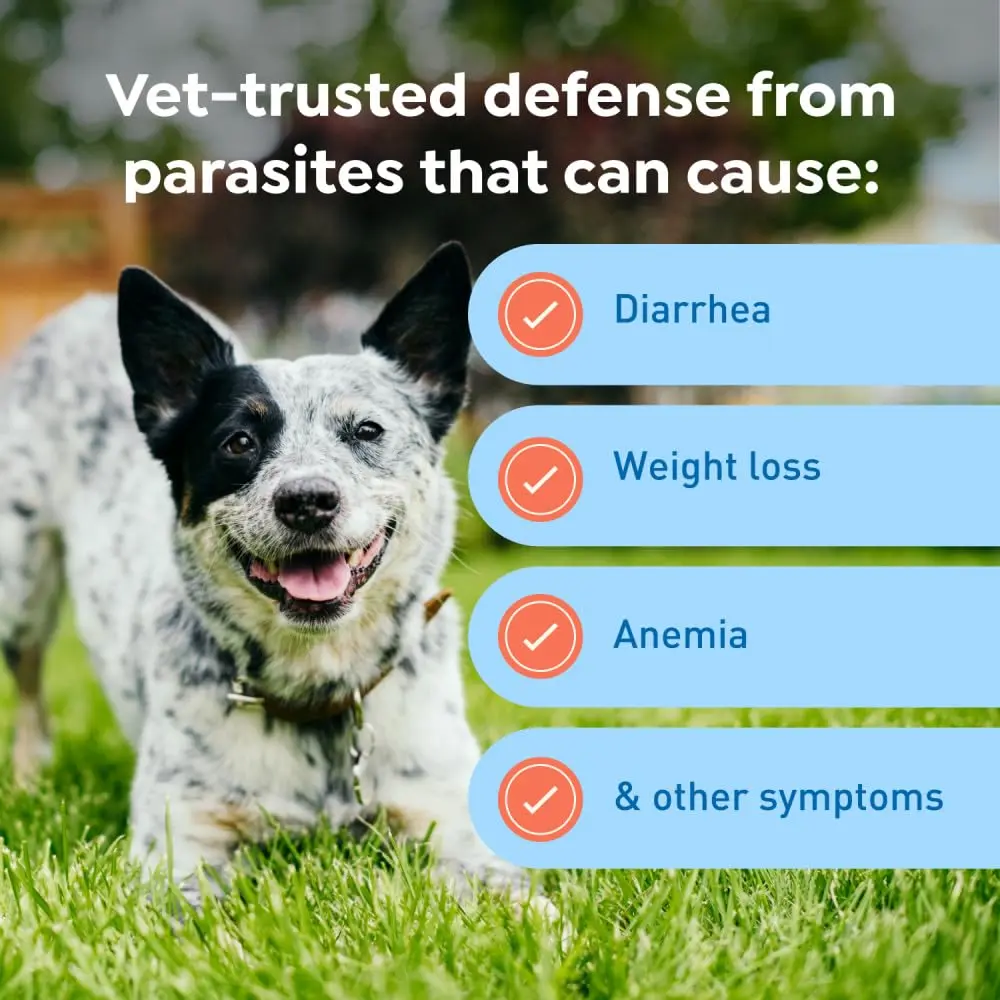 Interceptor Plus Monthly Tablets for Dogs 25.1-50 lbs | Heartworm & Worms Protection - view 6