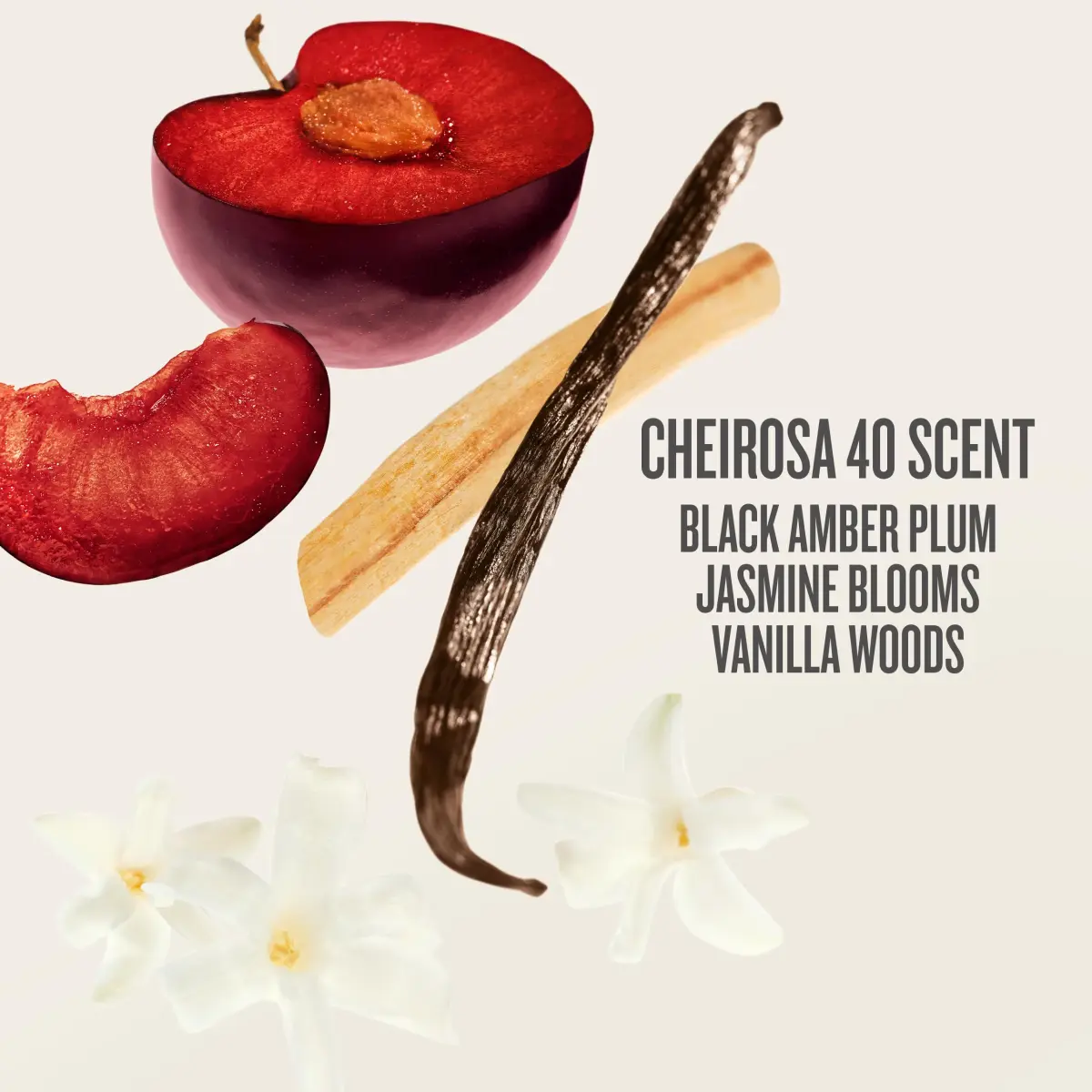 Sol de Janeiro Bom Dia Bright Jet Set | 3 Piece Set, Cheirosa '40 Scent - view 8