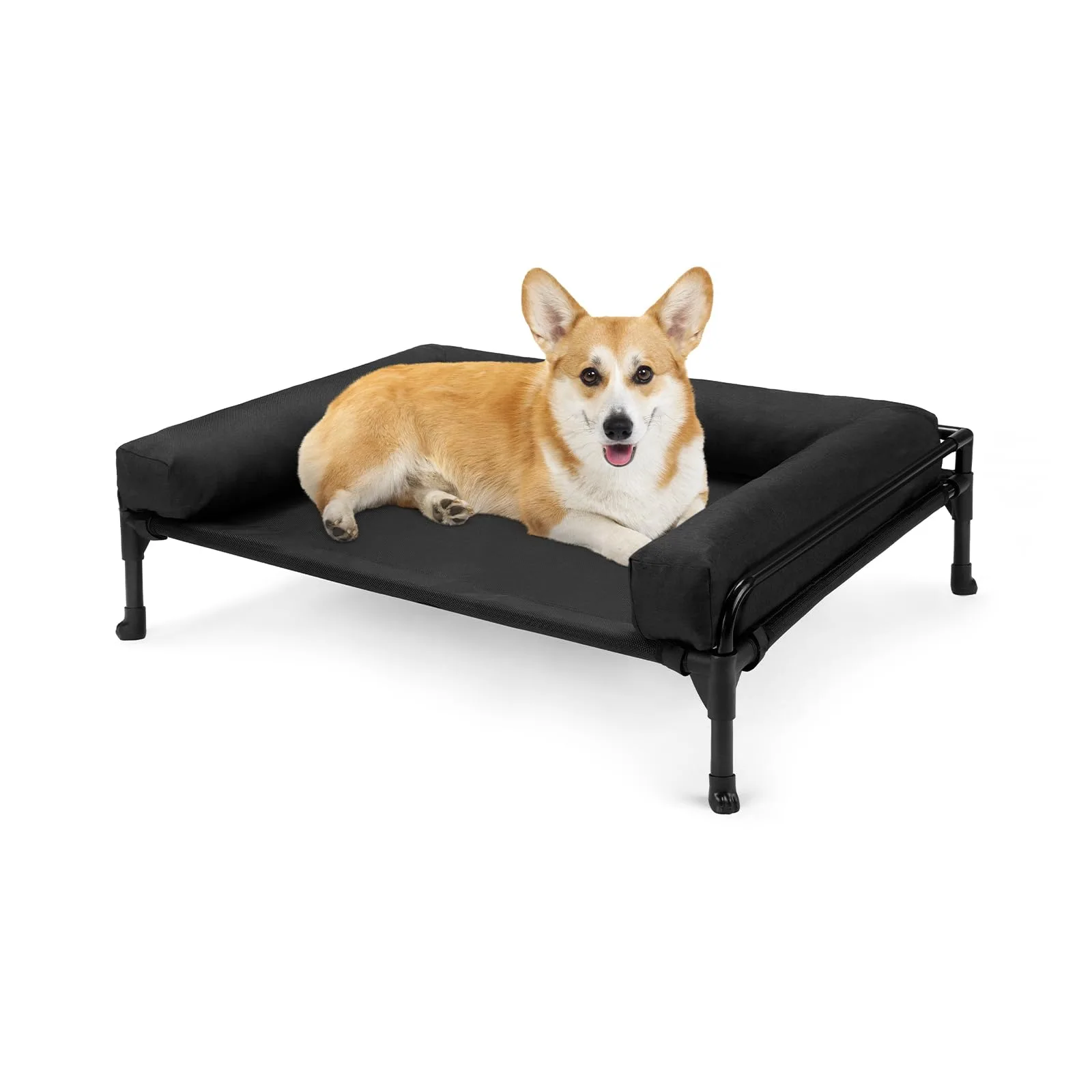 Pet Supplies
