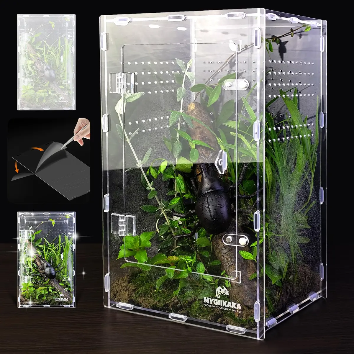 MYGIIKAKA Acrylic Jumping Spider Enclosure - Insect Terrarium for Spiders, Mantises, Tarantulas & Frogs | 37cm x 19cm x 20cm (14.6" x 7.7" x 8.1") - main product image