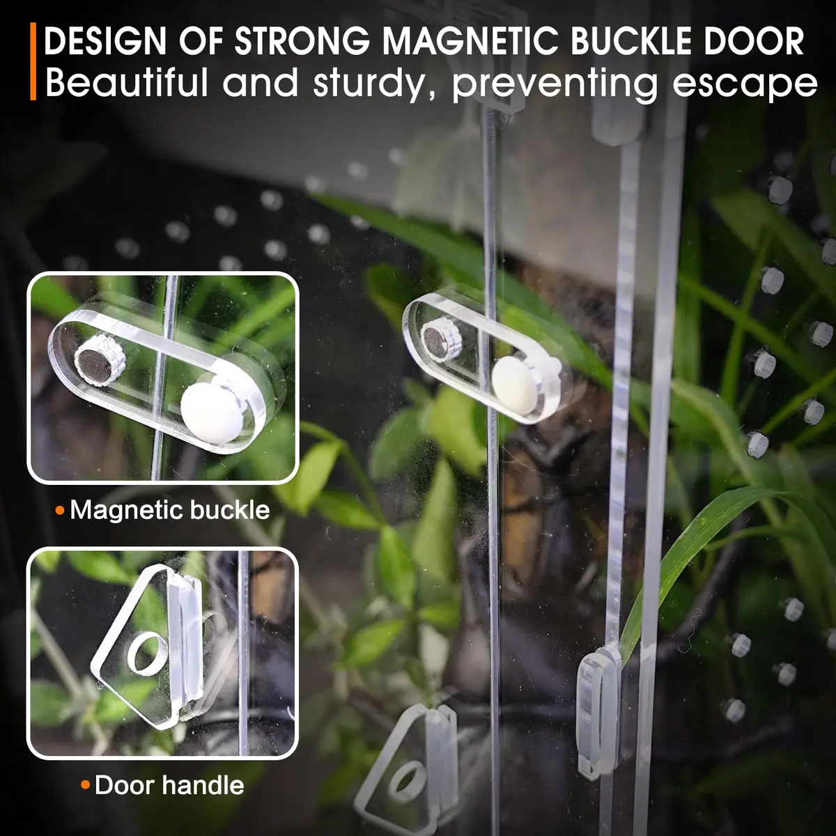 MYGIIKAKA Acrylic Jumping Spider Enclosure - Insect Terrarium for Spiders, Mantises, Tarantulas & Frogs | 37cm x 19cm x 20cm (14.6" x 7.7" x 8.1") - view 5