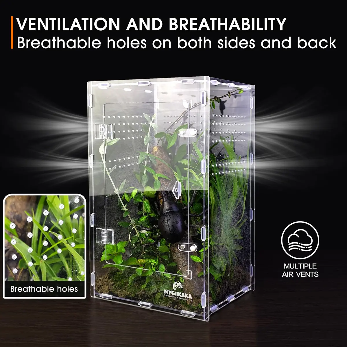MYGIIKAKA Acrylic Jumping Spider Enclosure - Insect Terrarium for Spiders, Mantises, Tarantulas & Frogs | 37cm x 19cm x 20cm (14.6" x 7.7" x 8.1") - view 6