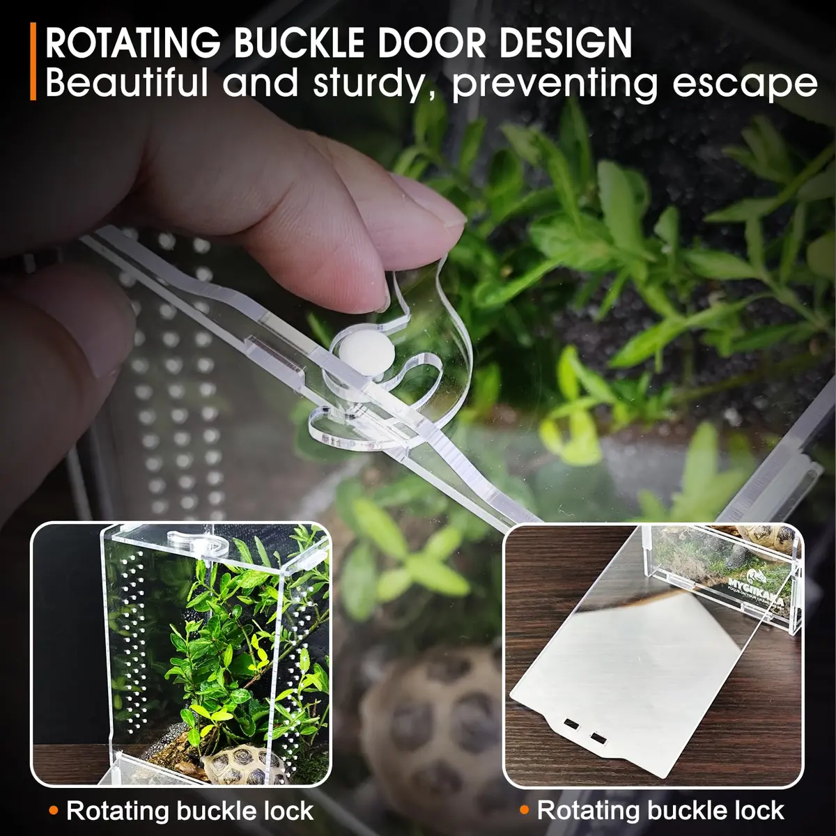 MYGIIKAKA Acrylic Jumping Spider Habitat 20cm (7.87") | Clear View Insect Terrarium for Small Pets - view 5