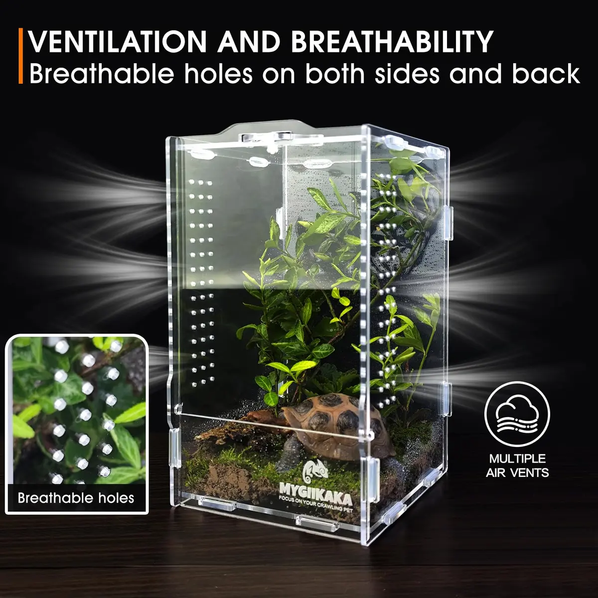 MYGIIKAKA Acrylic Jumping Spider Habitat 20cm (7.87") | Clear View Insect Terrarium for Small Pets - view 6