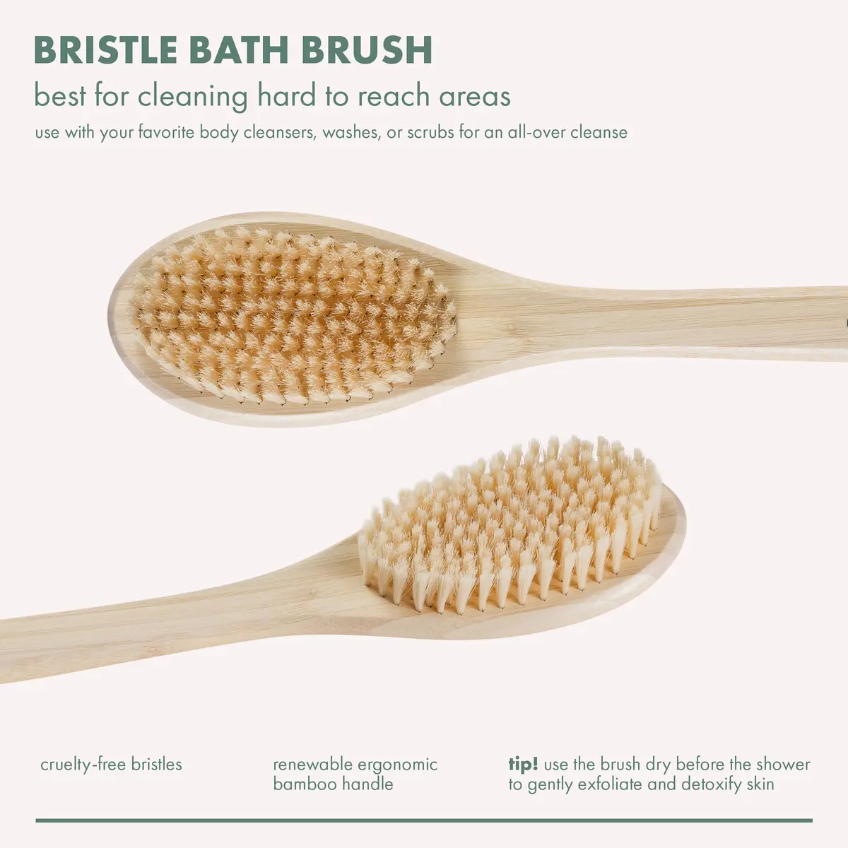 EcoTools Bristle Bath Brush with Long Bamboo Handle | Gentle Exfoliation for Back & Body (2-Pack) - view 5