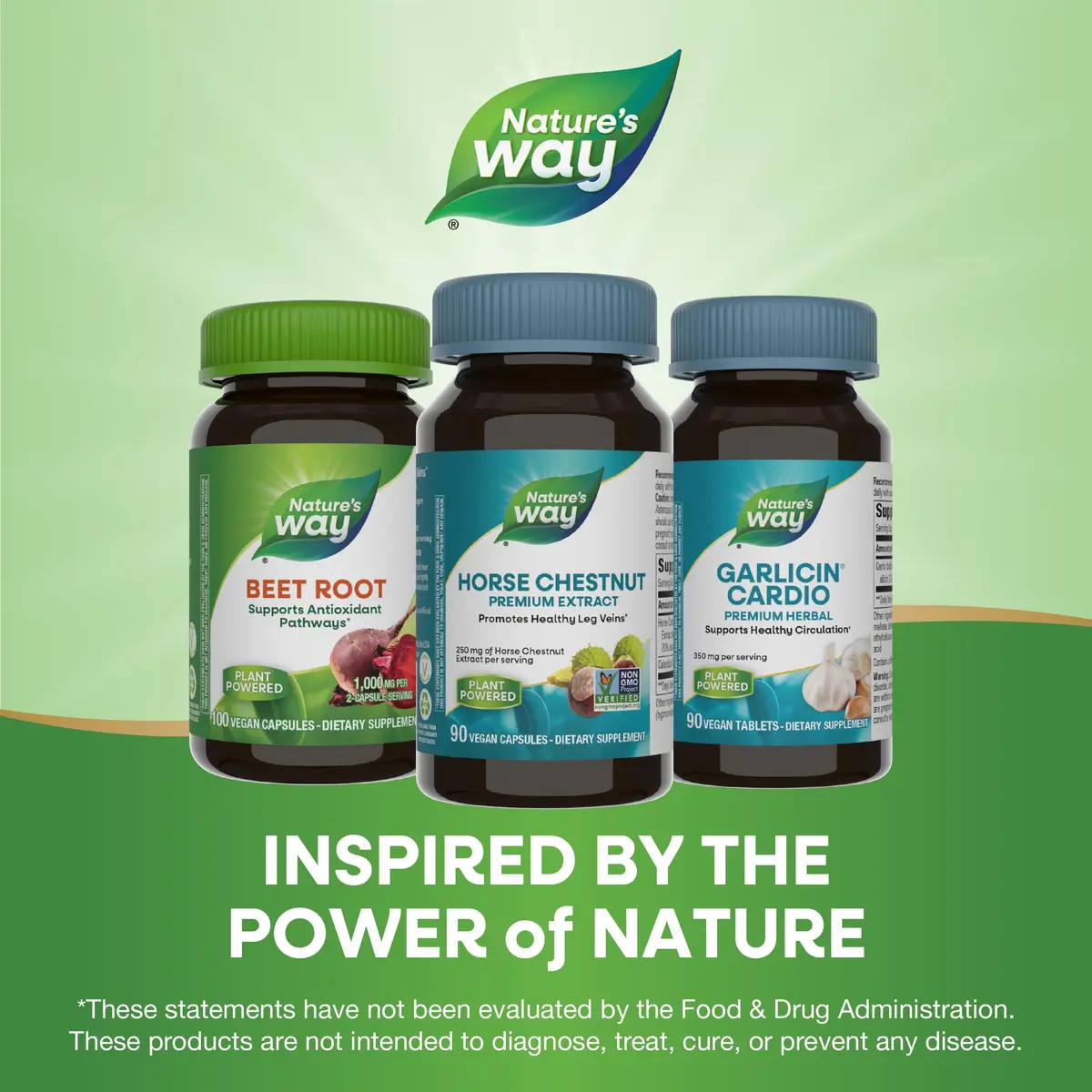 Nature's Way Horse Chestnut Extract Vegan Capsules 180 Count (90 Count Pack of 2) | Supports Healthy Leg Veins with 20% Aescin - view 7
