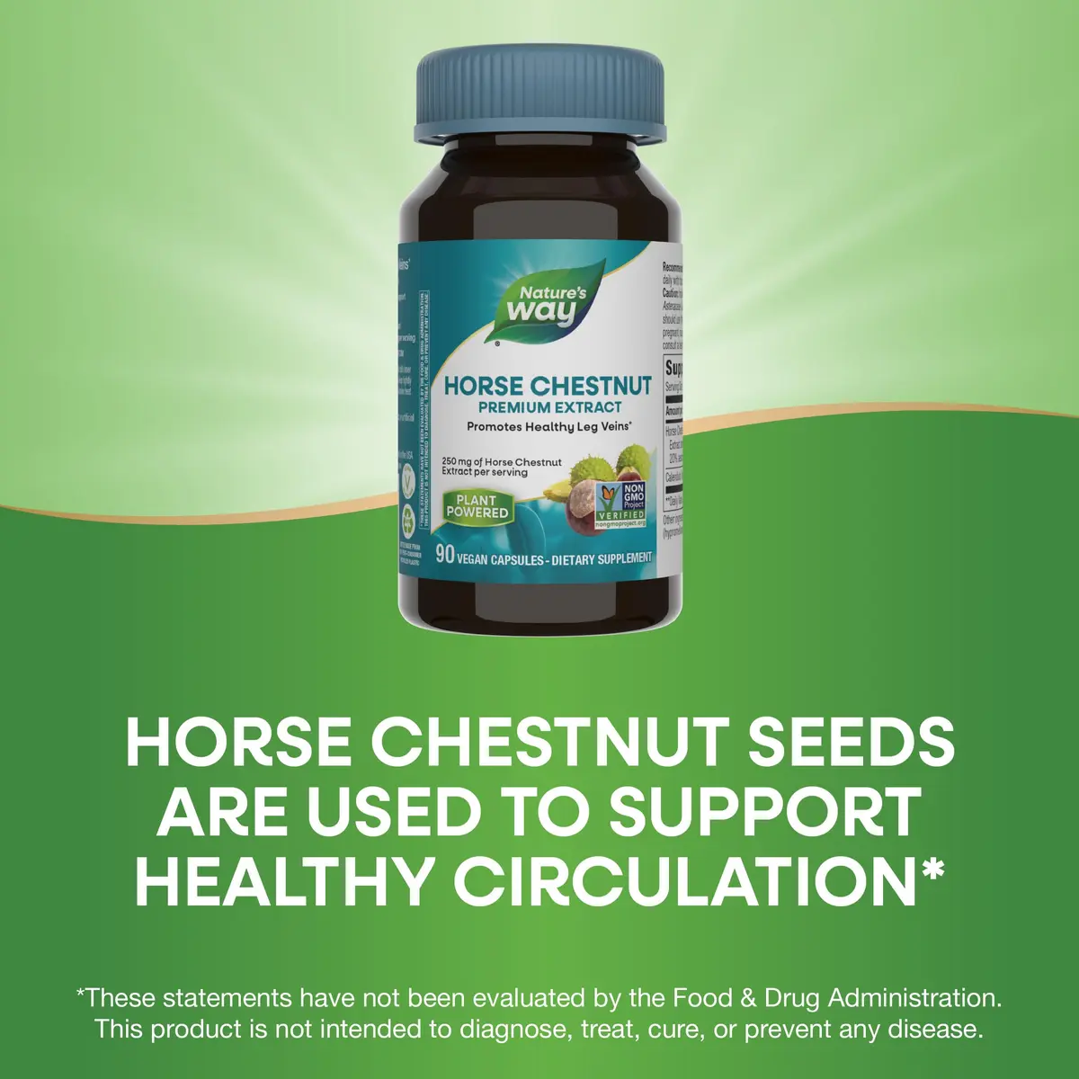 Nature's Way Horse Chestnut Extract Vegan Capsules 180 Count (90 Count Pack of 2) | Supports Healthy Leg Veins with 20% Aescin - view 4
