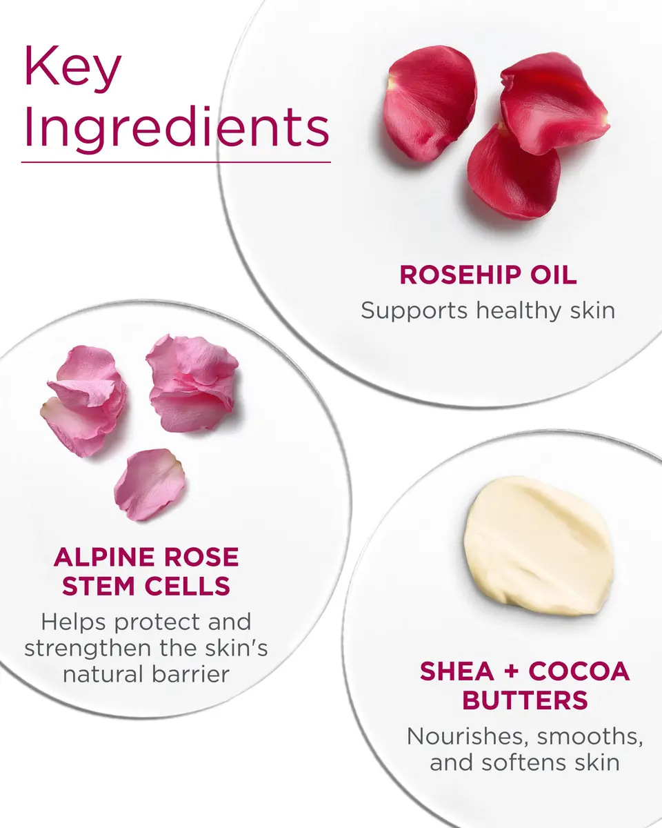 Andalou Naturals 1000 Roses Velvet Soft Body Butter 473ml (16 Fl Oz) | Advanced Rose Stem Cells for Dry Skin - view 5