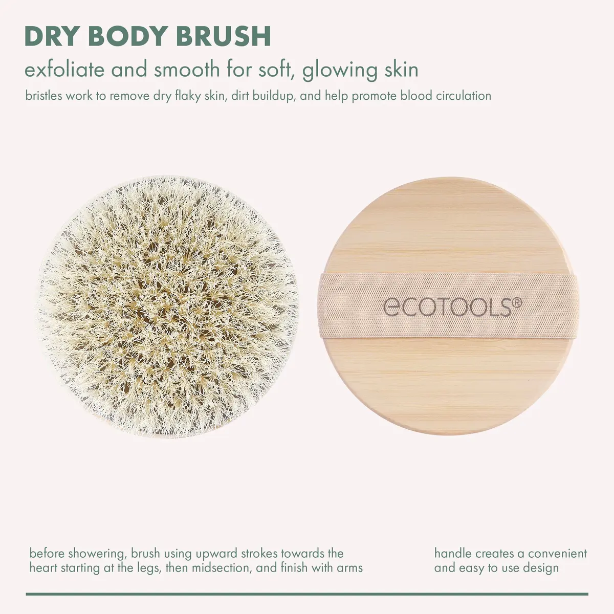 EcoTools Dry Body Brush | Eco-Friendly, Vegan & Cruelty-Free, 1 Count, Exfoliates & Promotes Blood Circulation - view 5