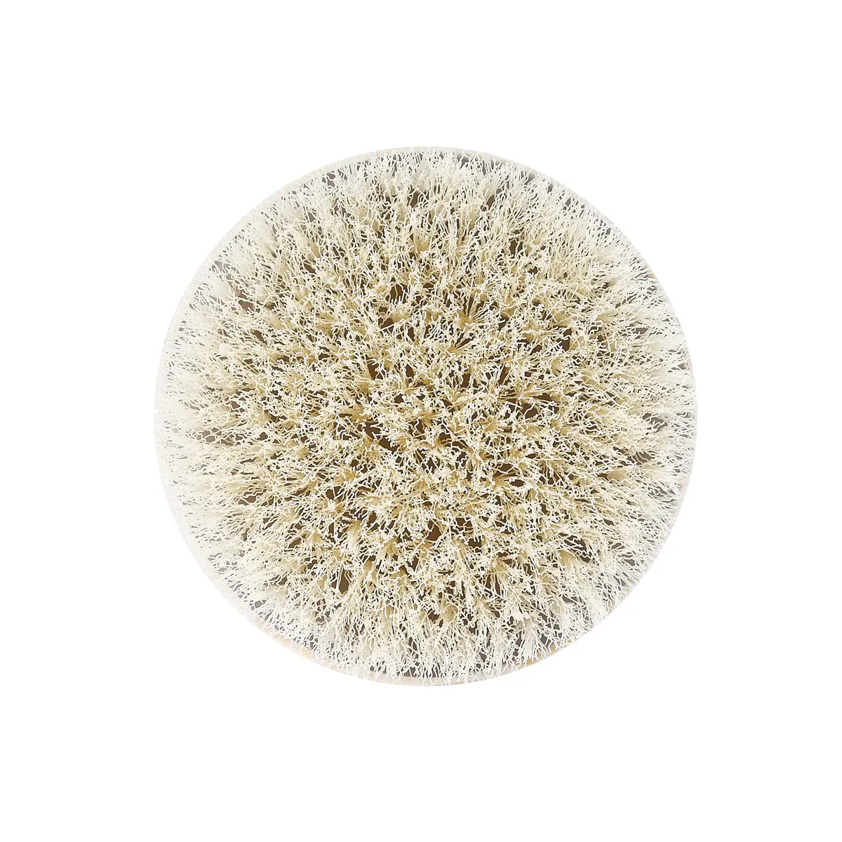 EcoTools Dry Body Brush | Eco-Friendly, Vegan & Cruelty-Free, 1 Count, Exfoliates & Promotes Blood Circulation - view 3