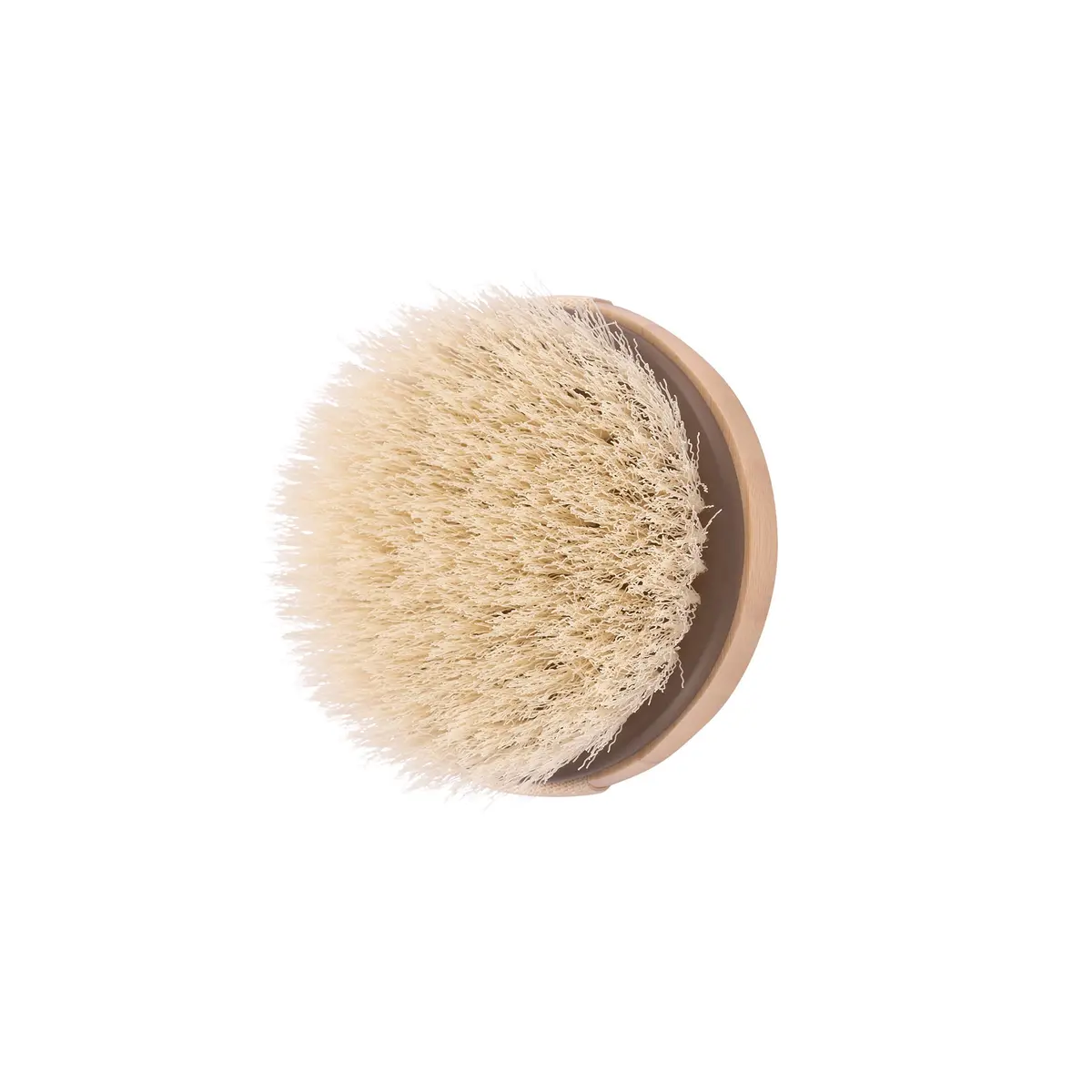 EcoTools Dry Body Brush | Eco-Friendly, Vegan & Cruelty-Free, 1 Count, Exfoliates & Promotes Blood Circulation - view 4