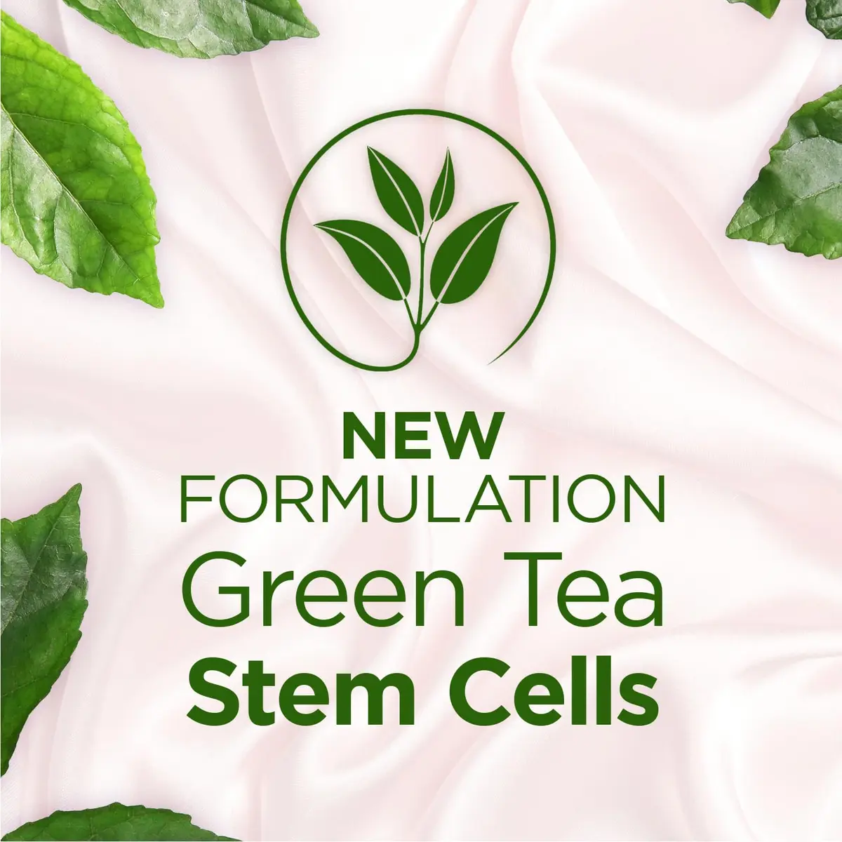 TEATRICAL Anti Wrinkle Face Cream 7 oz | Green Tea Stem Cells for Youthful Skin - view 5