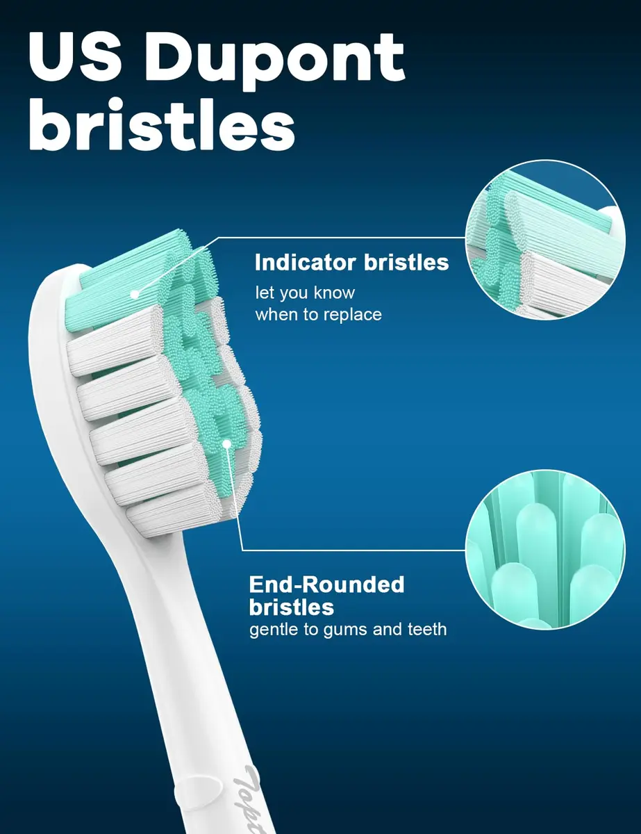 Toptheway Toothbrush Replacement Heads Compatible with Phillips Sonicare 4100/5100/C2/G2/C1, Medium Soft, 4 Pack | Genuine DuPont Bristles - view 6