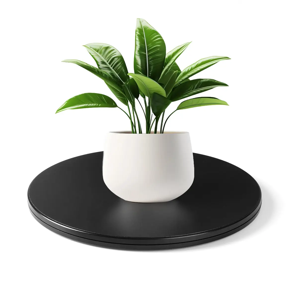 Creality Manual Turntable for 3D Scanner 20cm (7.87in) | Supports 50kg Load for 3D Model Scanning - view 4