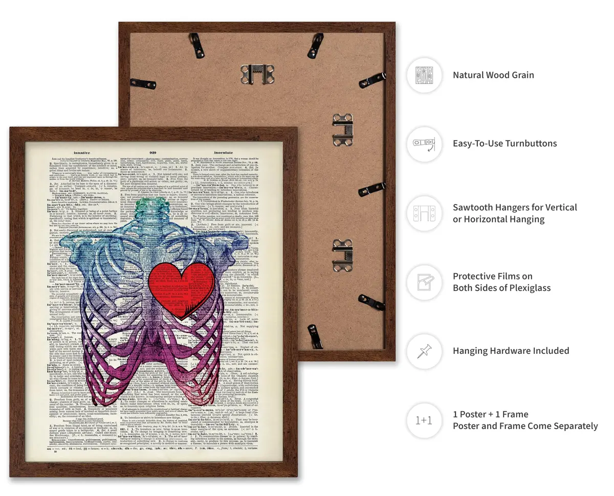 Poster Master Blue Pink Ribcage Skeleton Wall Art 16x20 Brown Framed | Anatomy & Medical Decor - view 2