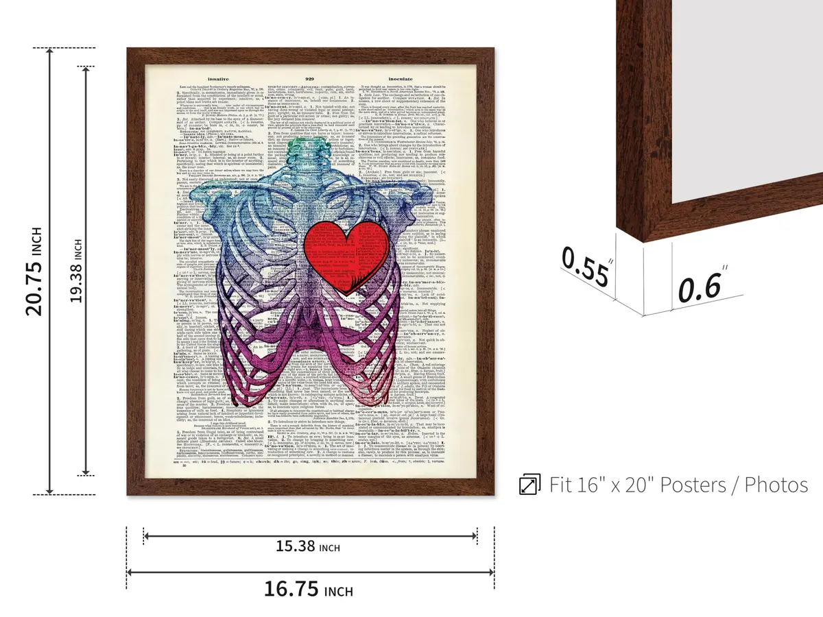 Poster Master Blue Pink Ribcage Skeleton Wall Art 16x20 Brown Framed | Anatomy & Medical Decor - view 3