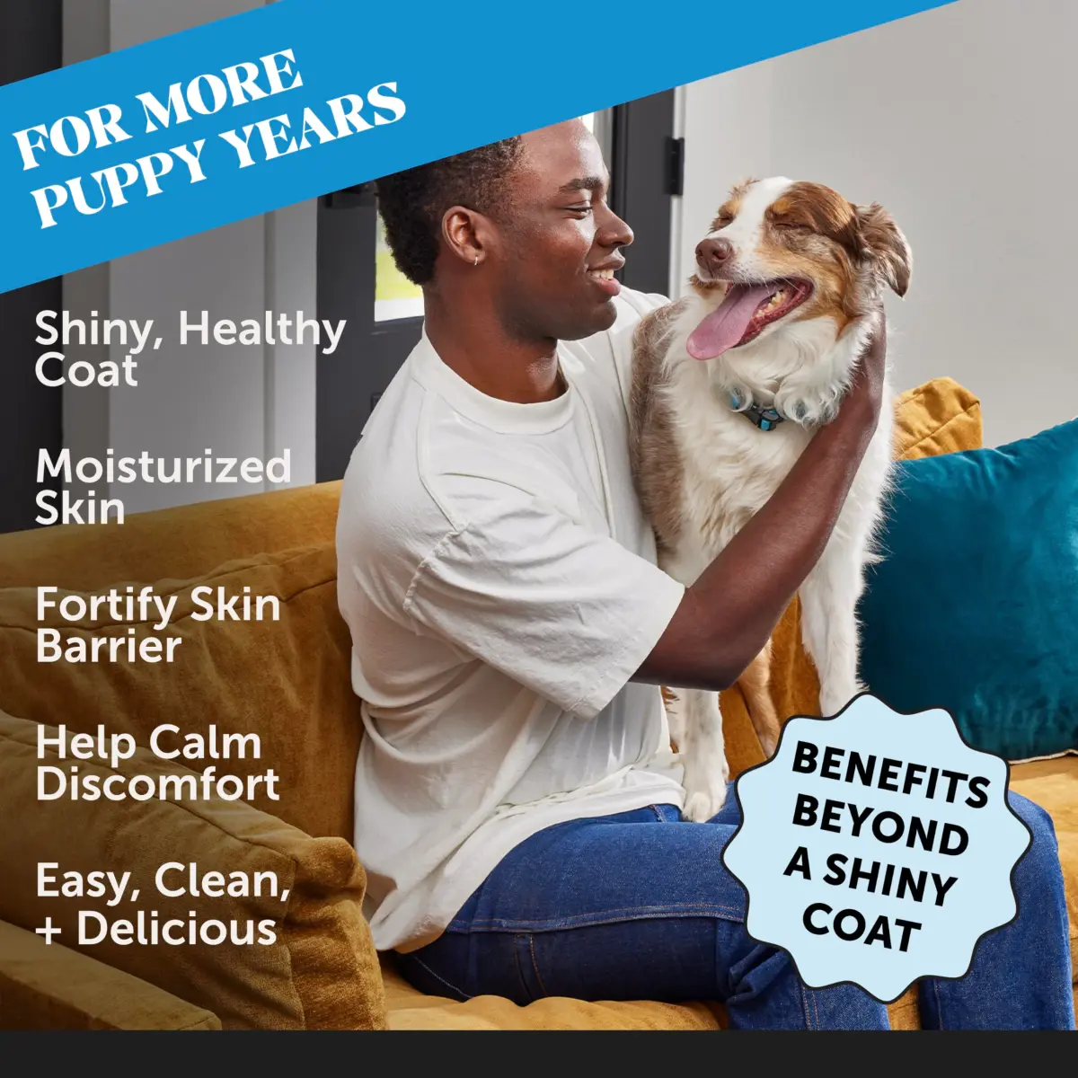 Pet Honesty Skin + Coat Health Oil for Dogs with Salmon Oil 355ml (12 oz) | Nutritionist Approved for Allergy Itch Relief - view 2
