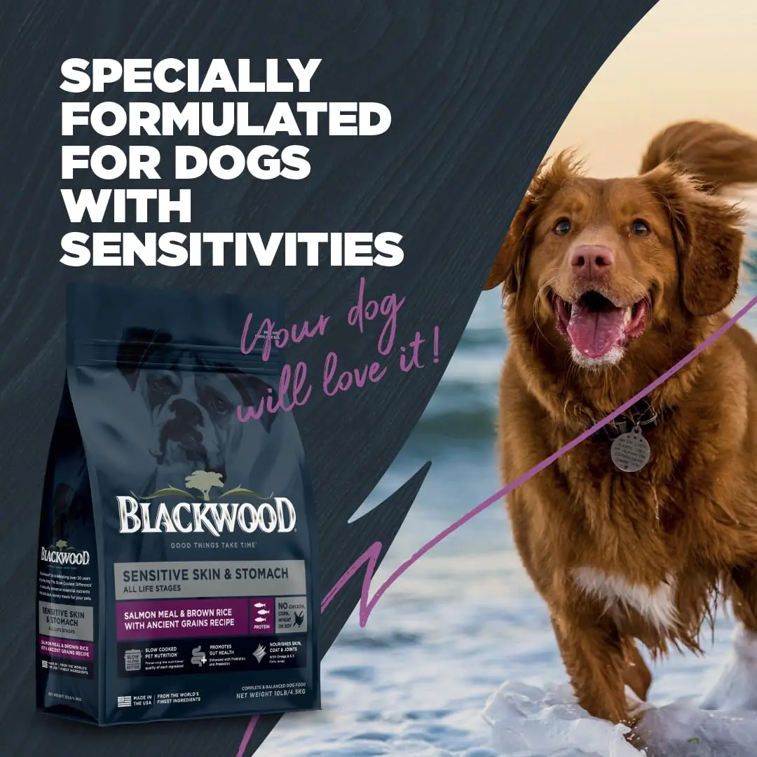 Blackwood Sensitive Premium Dry Dog Food Salmon Meal & Brown Rice | Supports Digestion & Skin (120 chars) - view 6