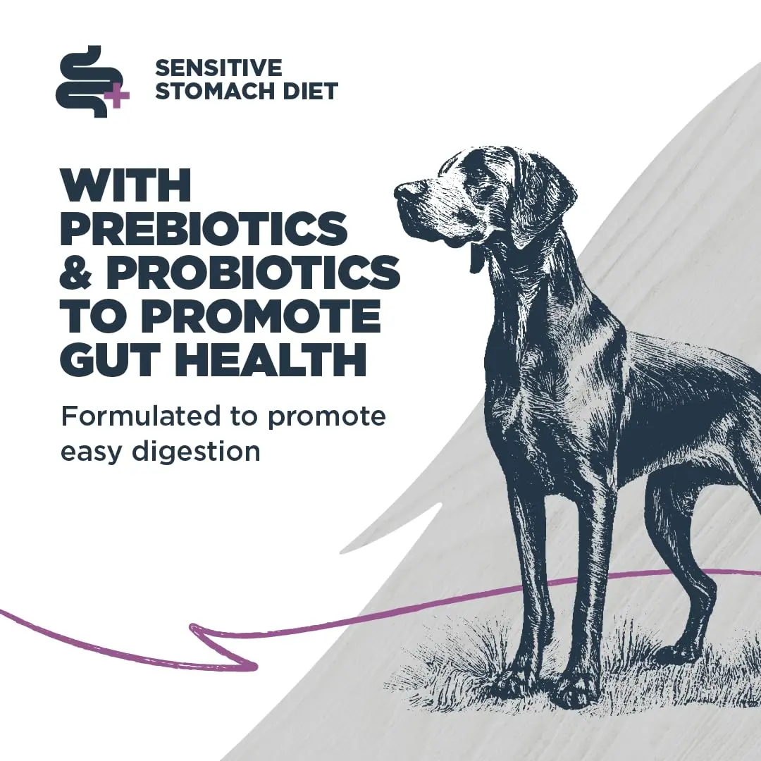 Blackwood Sensitive Premium Dry Dog Food Salmon Meal & Brown Rice | Supports Digestion & Skin (120 chars) - view 3