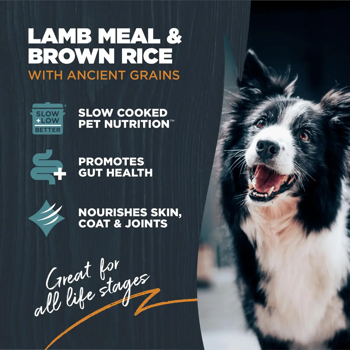 Blackwood Sensitive Premium Dry Dog Food, Lamb Meal & Brown Rice, 24 lb | Supports Skin & Digestion - view 2
