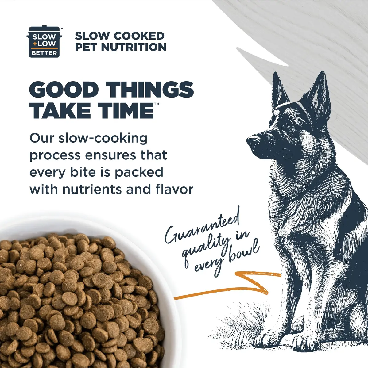 Blackwood Sensitive Premium Dry Dog Food, Lamb Meal & Brown Rice, 24 lb | Supports Skin & Digestion - view 4