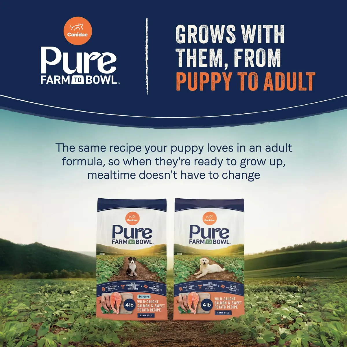 CANIDAE Puppy Dry Food Salmon & Sweet Potato | Limited Ingredient, Protein-Rich Nutrition - view 8