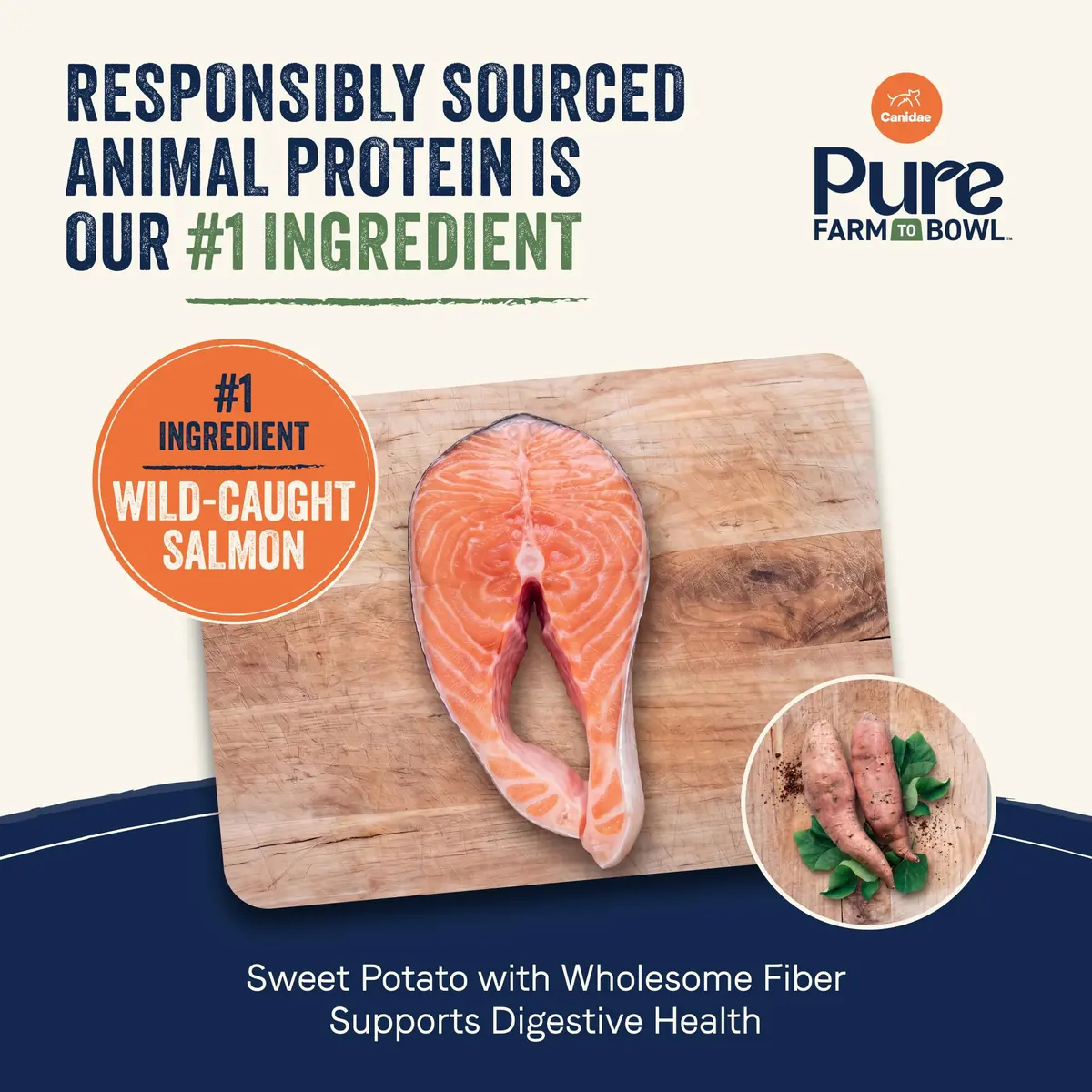 CANIDAE Puppy Dry Food Salmon & Sweet Potato | Limited Ingredient, Protein-Rich Nutrition - view 2