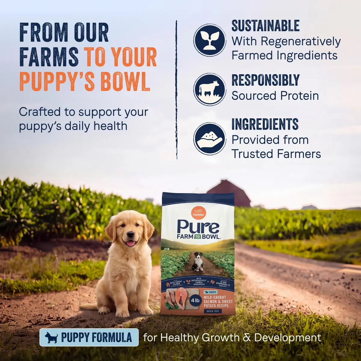 CANIDAE Puppy Dry Food Salmon & Sweet Potato | Limited Ingredient, Protein-Rich Nutrition - view 3