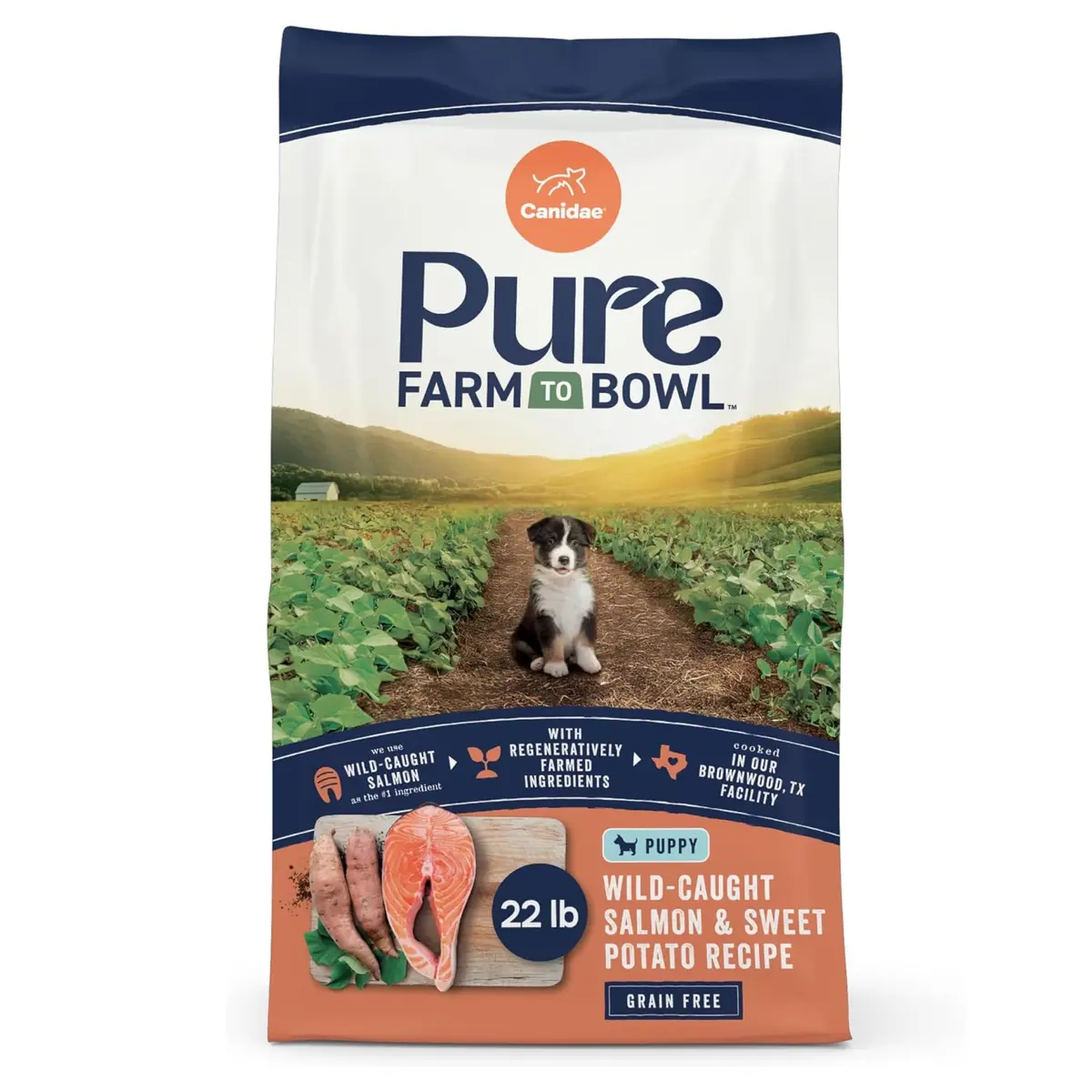 CANIDAE Puppy Dry Food Salmon & Sweet Potato 22 lb | Natural, Limited Ingredient, Supports Digestion & Immunity - main product image