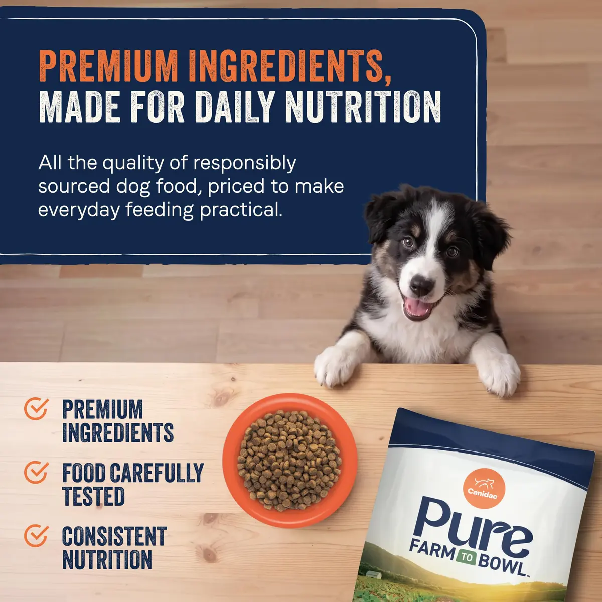 CANIDAE Puppy Dry Food Salmon & Sweet Potato 22 lb | Natural, Limited Ingredient, Supports Digestion & Immunity - view 5