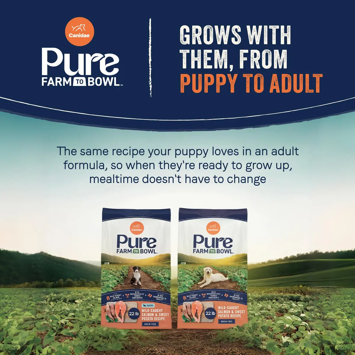 CANIDAE Puppy Dry Food Salmon & Sweet Potato 22 lb | Natural, Limited Ingredient, Supports Digestion & Immunity - view 8