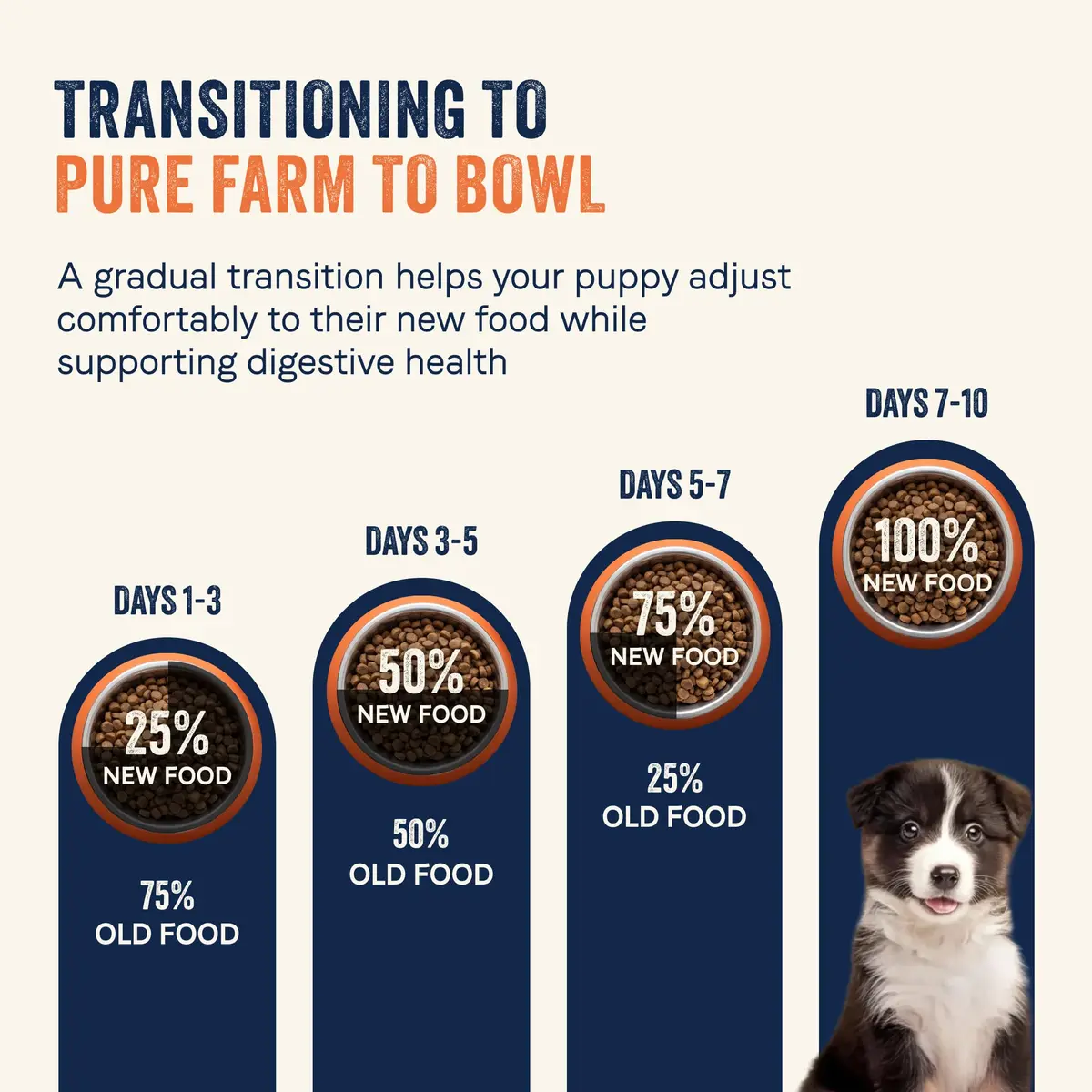 CANIDAE Puppy Dry Food Salmon & Sweet Potato 22 lb | Natural, Limited Ingredient, Supports Digestion & Immunity - view 9