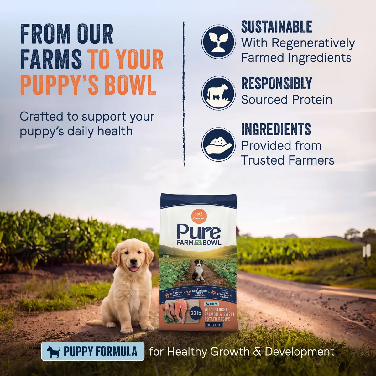 CANIDAE Puppy Dry Food Salmon & Sweet Potato 22 lb | Natural, Limited Ingredient, Supports Digestion & Immunity - view 3