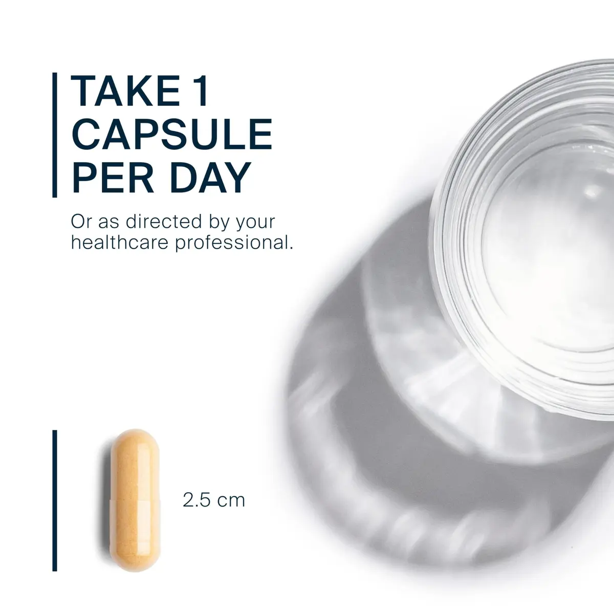 Vital Nutrients Vitamin B-Complex 240 Capsules | Supports Energy & Brain Function - view 4