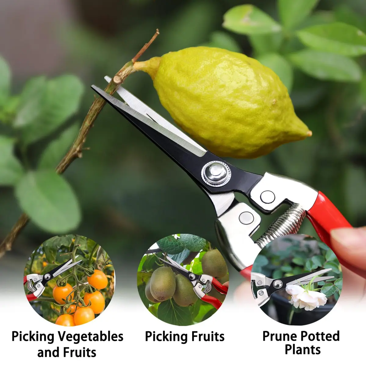 Kynup 3Pack Pruning Shears, Garden Shears, Pruning Shears for Gardening, Gardening Shears Scissors Clippers, Garden Tools Set with Gloves, Stainless Steel, Soft Grip Handle - view 6