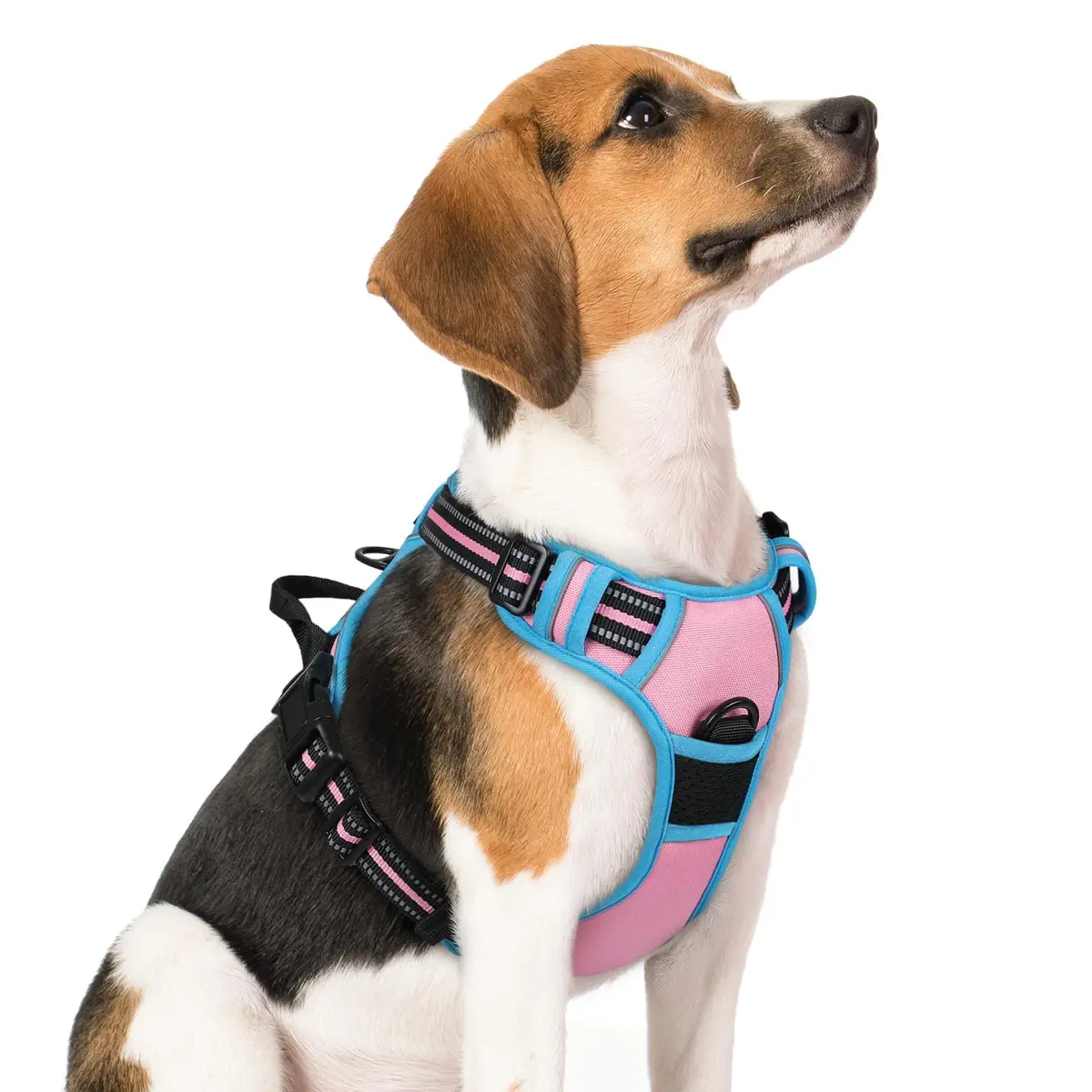 rabbitgoo Dog Harness, No Pull Medium Size | Adjustable, Breathable & Reflective - main product image