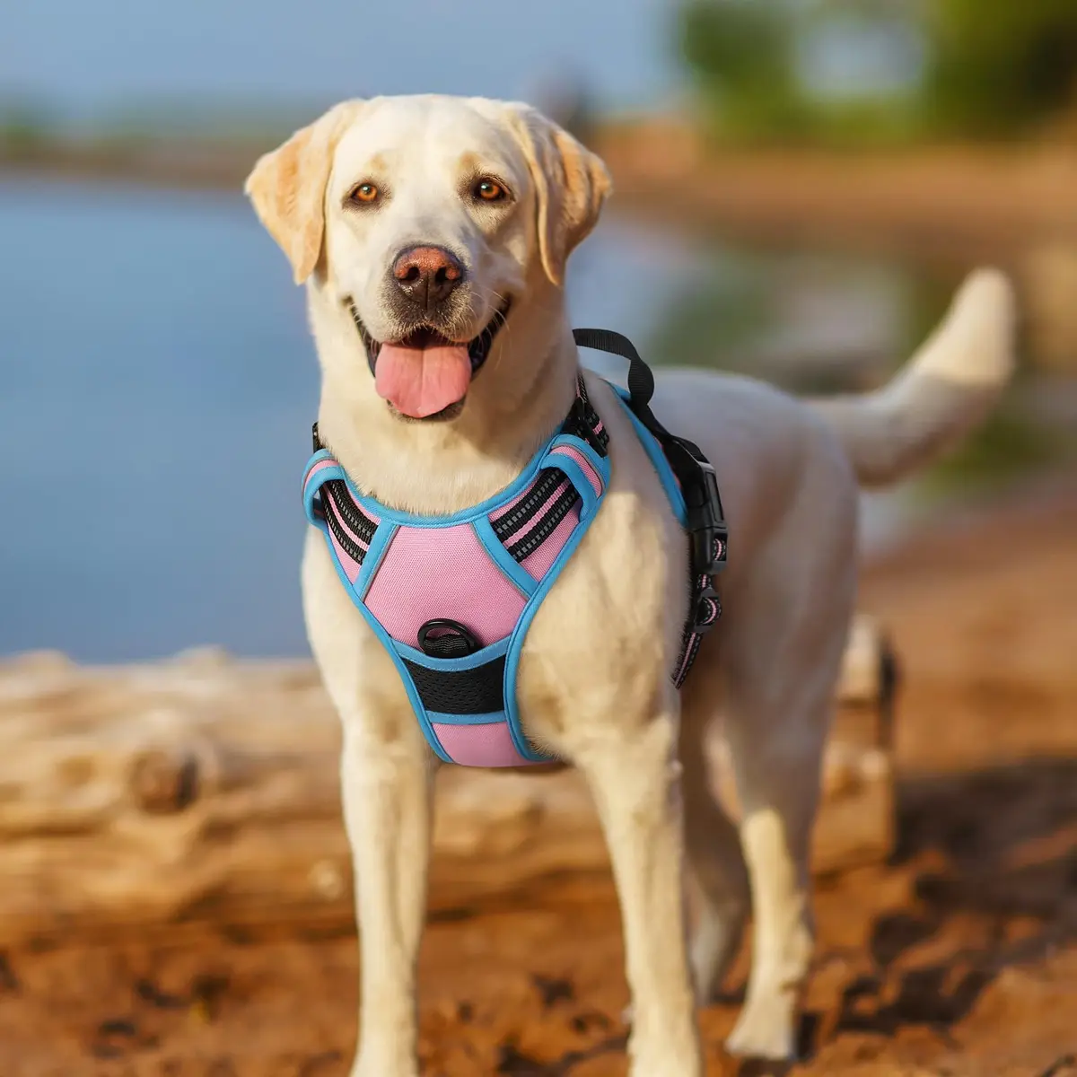 rabbitgoo Dog Harness, No Pull Medium Size | Adjustable, Breathable & Reflective - view 7