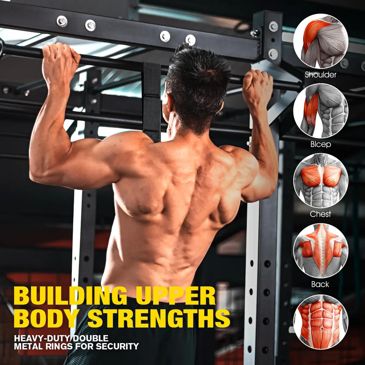 Ayombo Adjustable Pull Up Assistance Bands Set | 75lb-300lb Resistance, Natural Rubber Latex Tubes, 1.36kg (3lb) - view 8