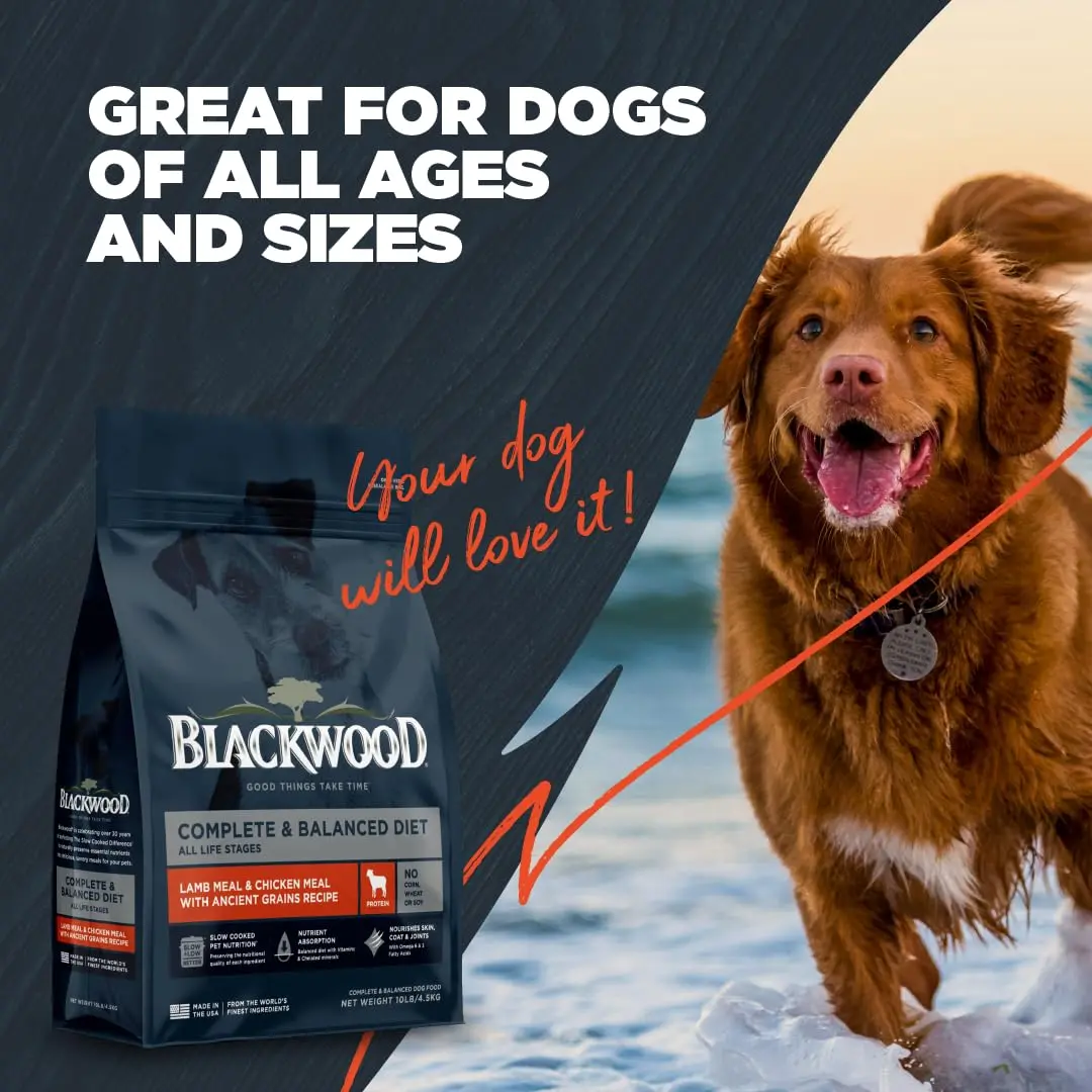 Blackwood Complete Premium Dry Dog Food, Lamb Meal & Brown Rice | Supports Digestion & Coat (120 chars) - view 6