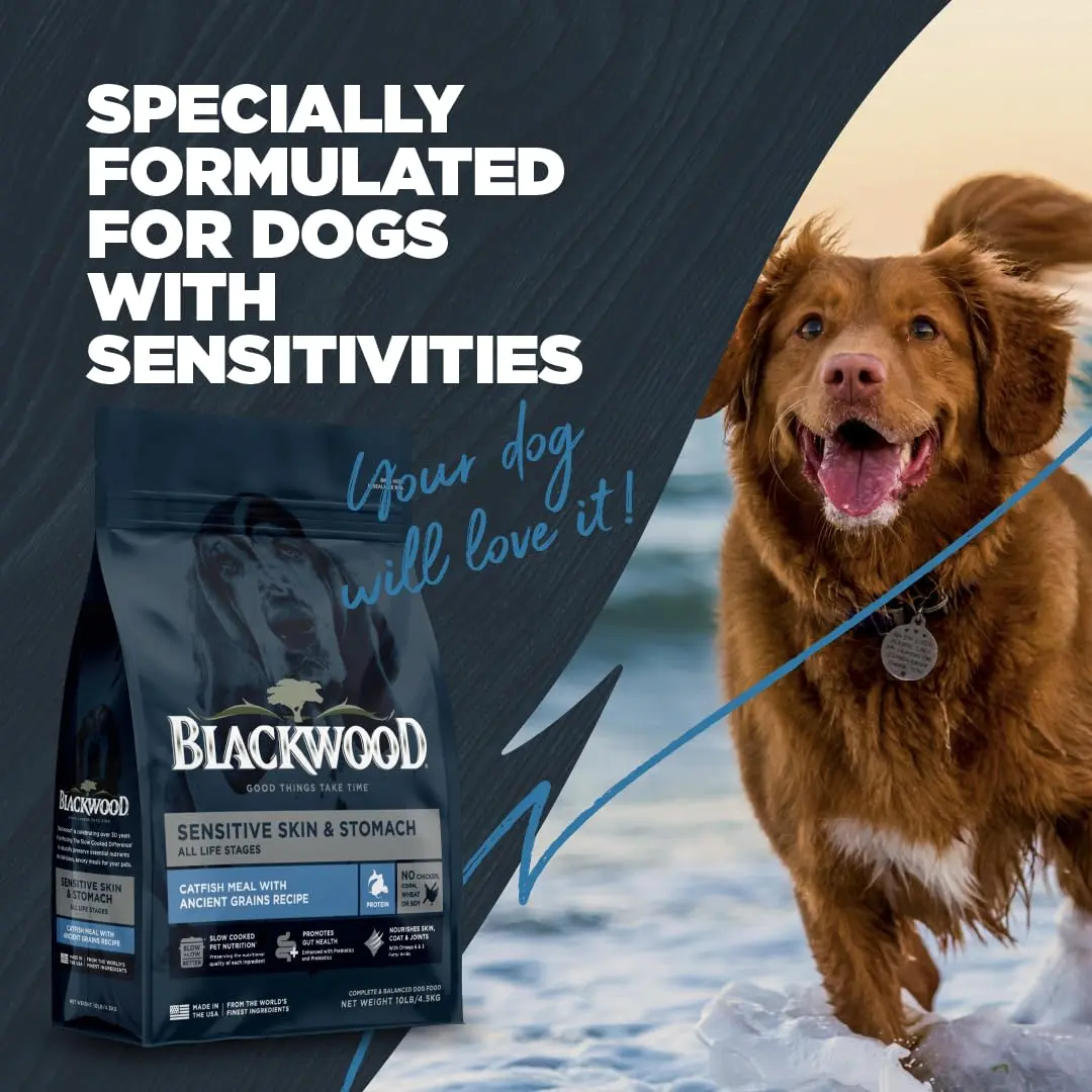 Blackwood Sensitive Skin & Stomach Dry Dog Food, 24 lb | Catfish Meal & Ancient Grains, USA - view 6