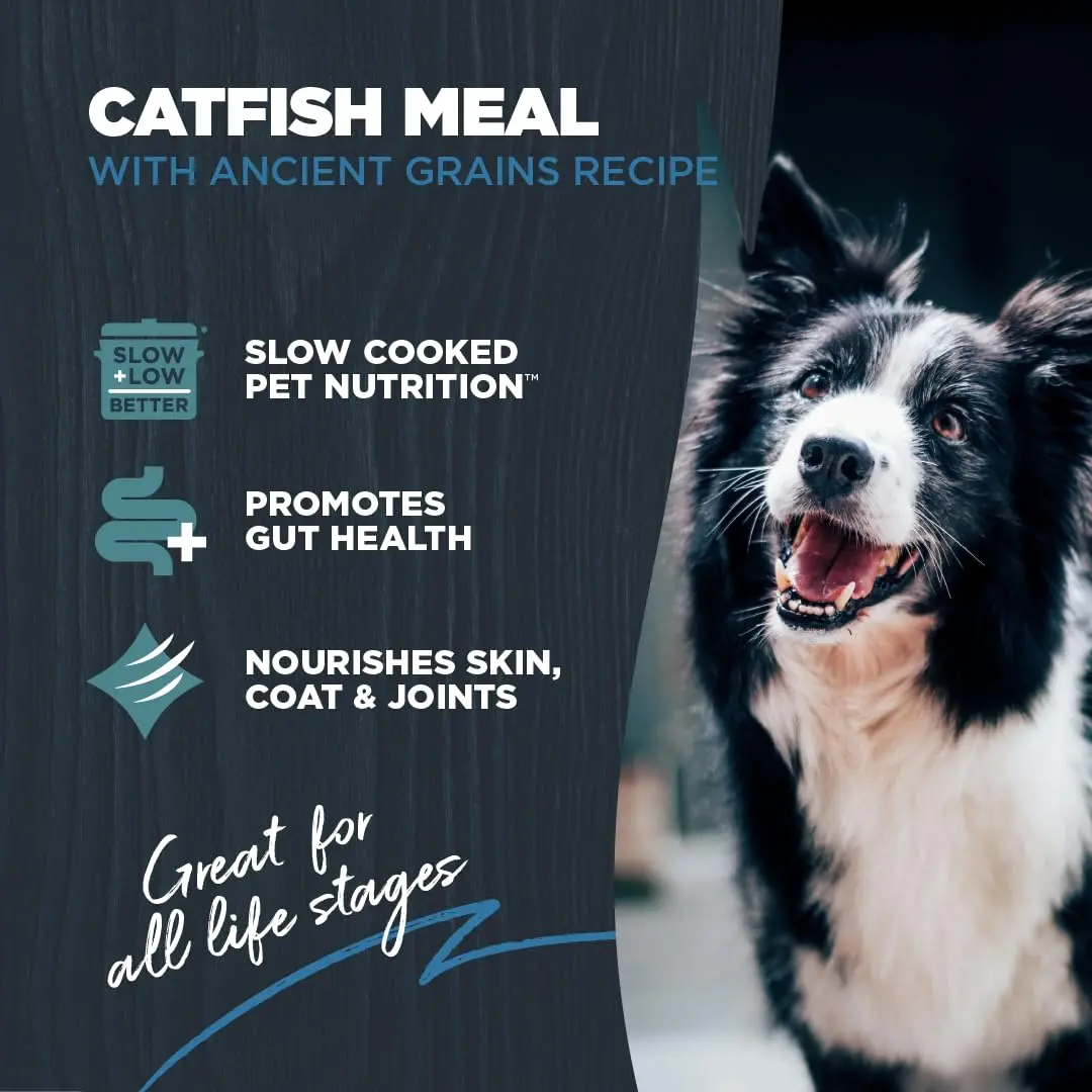 Blackwood Sensitive Skin & Stomach Dry Dog Food, 24 lb | Catfish Meal & Ancient Grains, USA - view 2