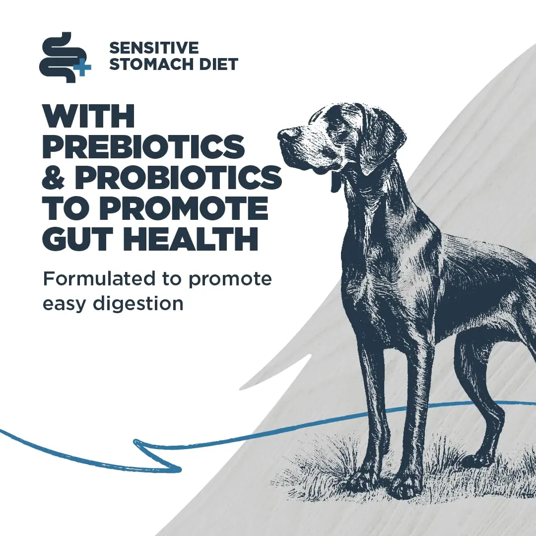 Blackwood Sensitive Skin & Stomach Dry Dog Food, 24 lb | Catfish Meal & Ancient Grains, USA - view 3